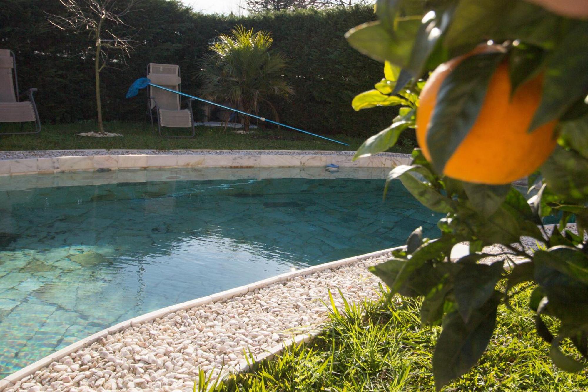 Guest H4U - Villa Garden & Pool Póvoa de Varzim Exteriér fotografie